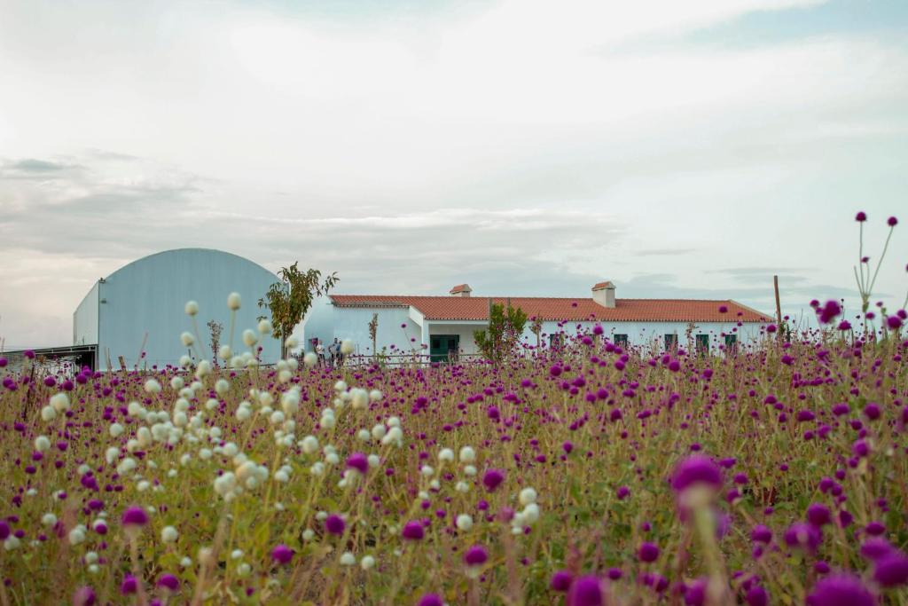 Monte da Palma - Quinta Biodin&acirc;mica